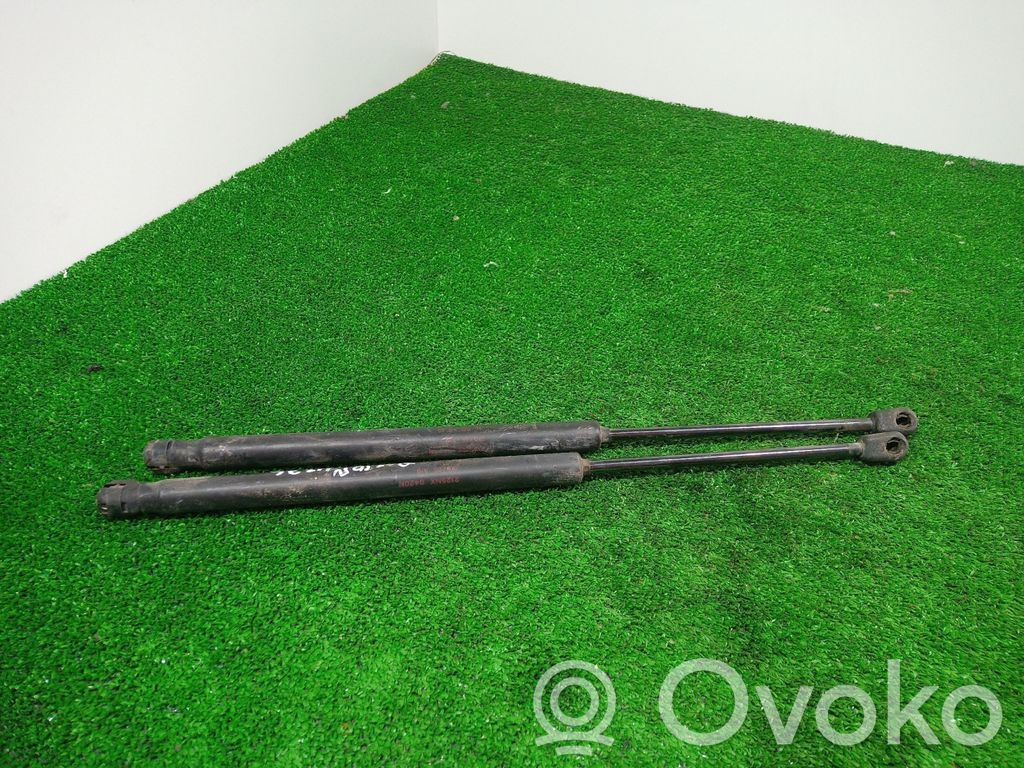Tailgate/trunk strut/damper   2125NX,2125NX,2125NX