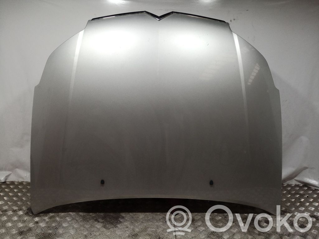 Engine bonnet/hood