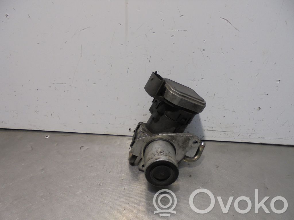 Válvula EGR   102301
