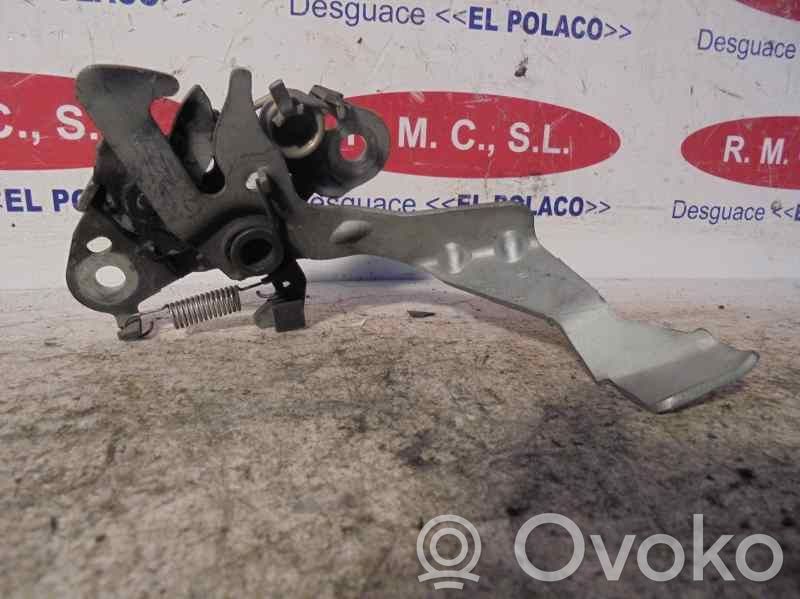 Tie down hook / loop   OFERTA