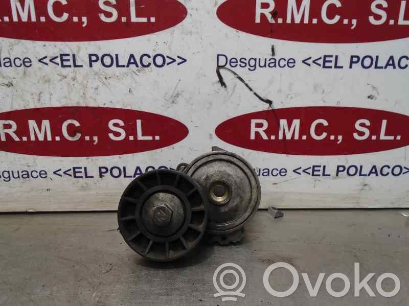Peugeot 607 Tensor de correa del alternador 