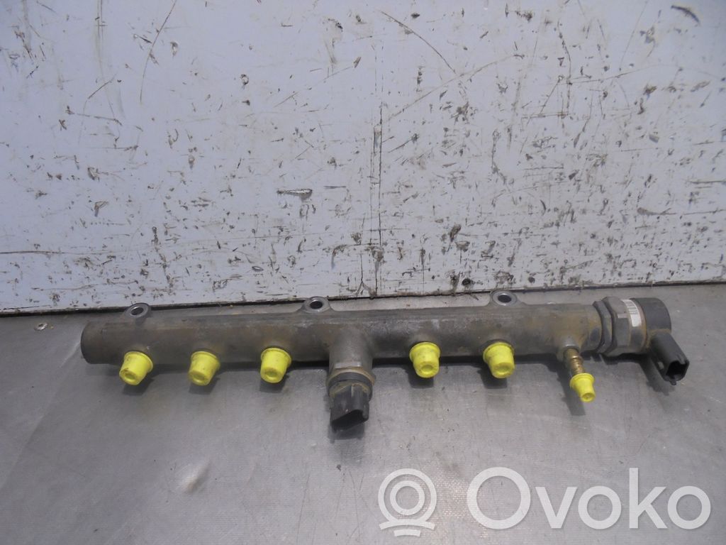 Rampa inyectora   314004A440,BOSCH,0281002507