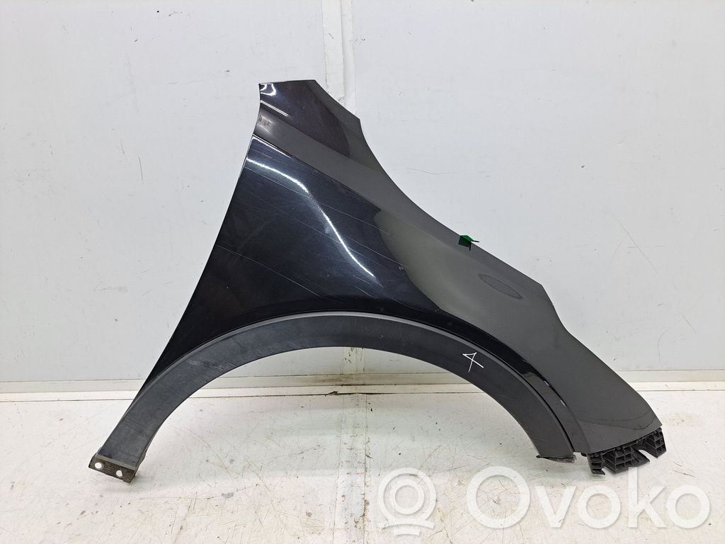 Fender   66321J7500