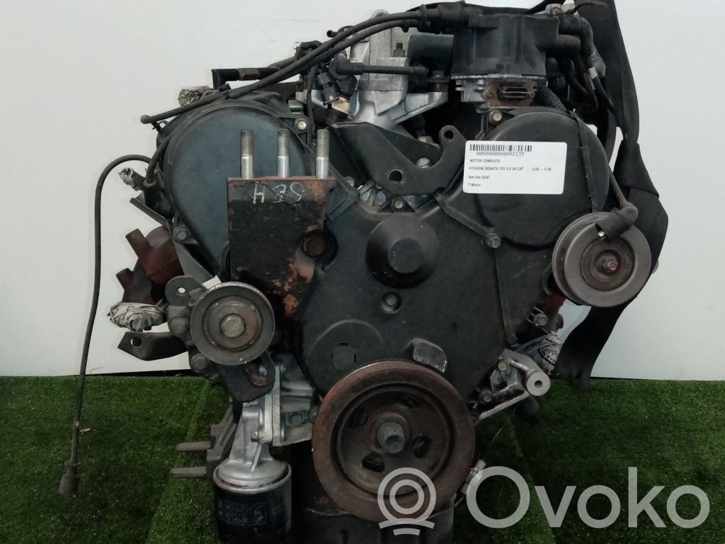 Hyundai Sonata Engine 