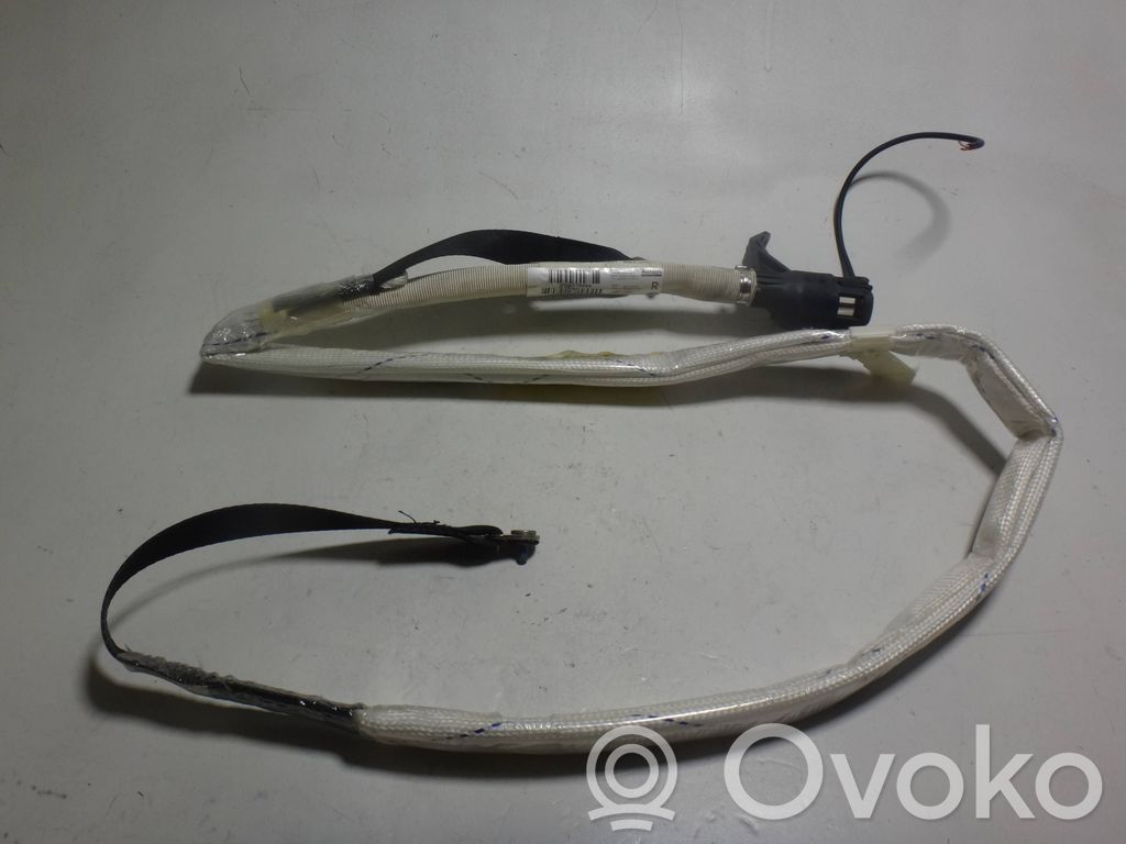 Airbag del techo   8582176243,971300111404