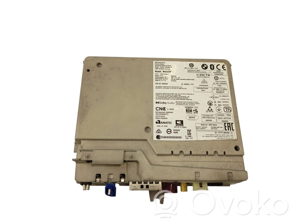 BMW 5 G60 G61 Panel radia 