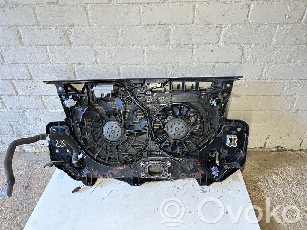 Radiatoru panelis   4F0805499