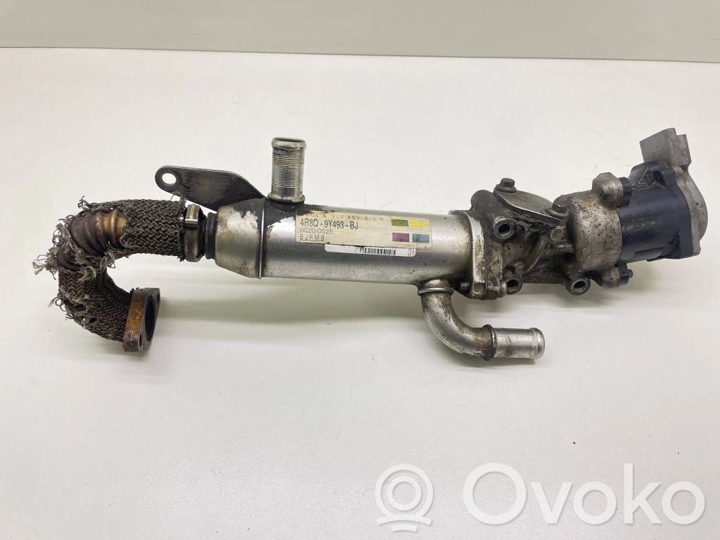 Land Rover Range Rover Sport L320 EGR aušintuvas 
