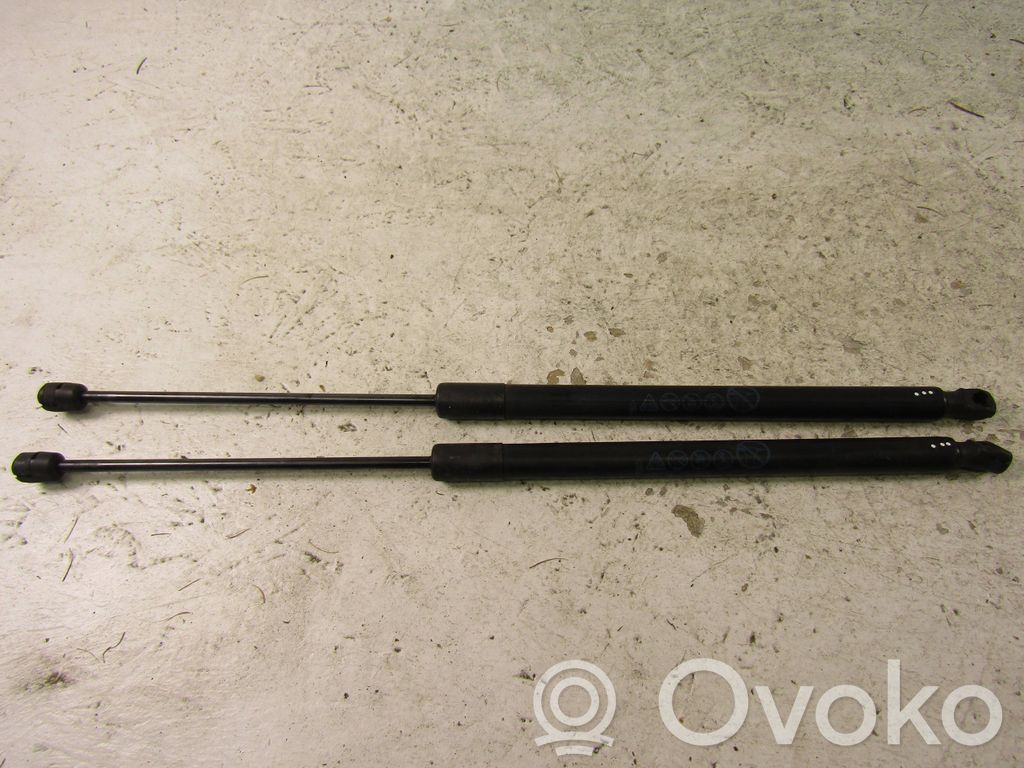 Ford Focus Tailgate/trunk strut/damper 