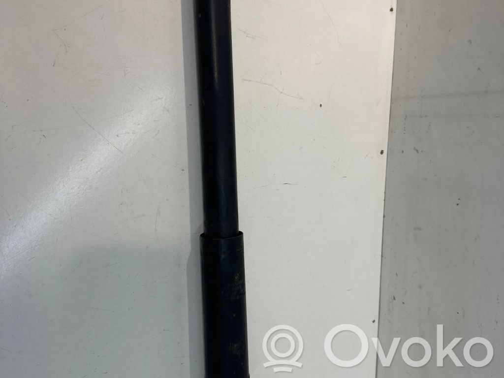 Ford Fiesta Stoßdämpfer hinten 