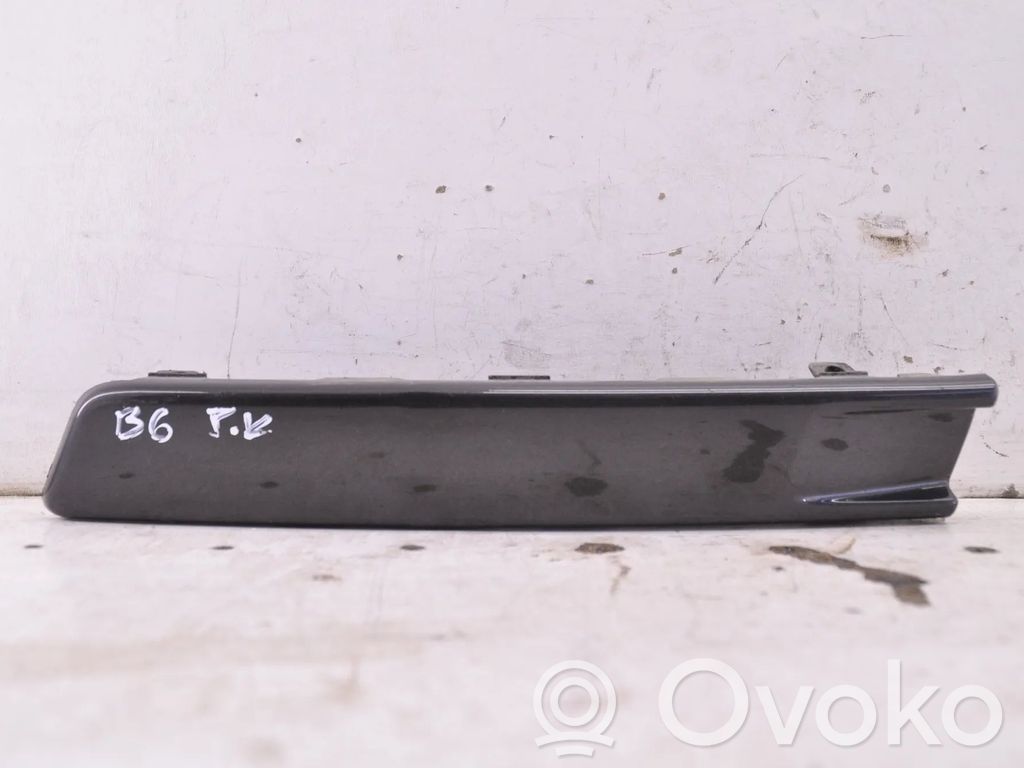 Volkswagen PASSAT B6 Modanatura separatore del paraurti anteriore 
