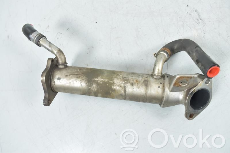EGR dzesētājs   9800570780