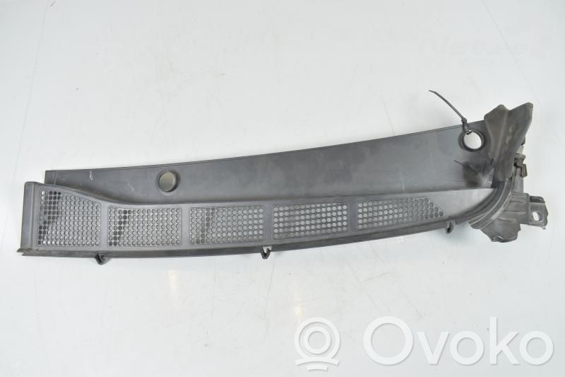 Peugeot Expert Moldura del limpia 