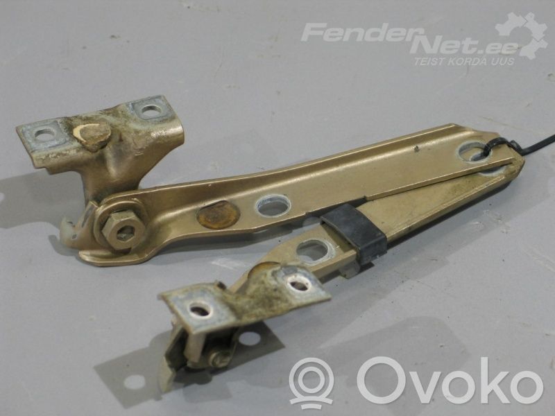 Engine bonnet/hood hinges