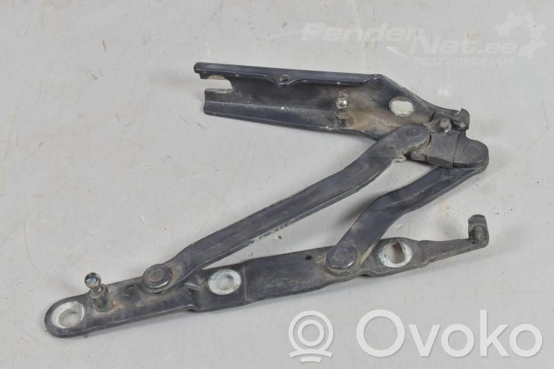 Tailgate/trunk/boot hinge   4851713