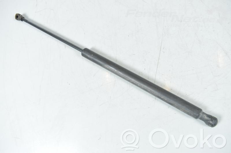 Tailgate strut   8731L7
