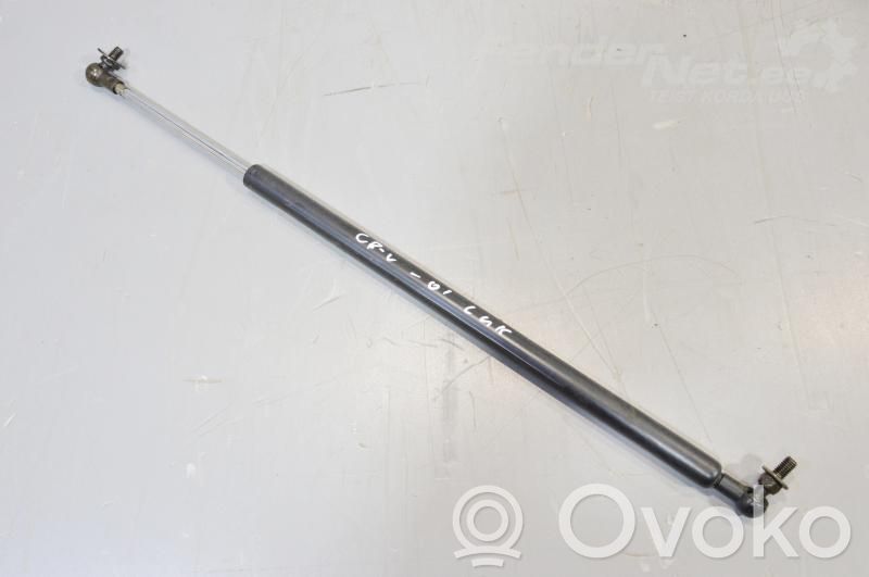 Tailgate strut   04741S10000