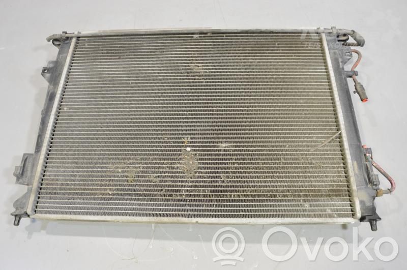 Coolant radiator   253103K180