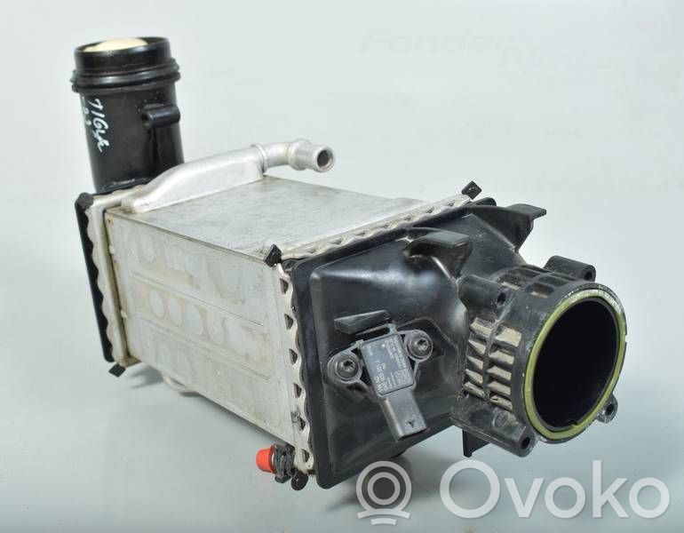 Volkswagen Tiguan Interkūlerio radiatorius 