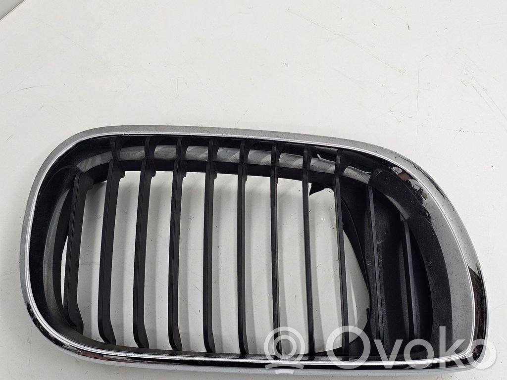 BMW 3 E46 Front grill 