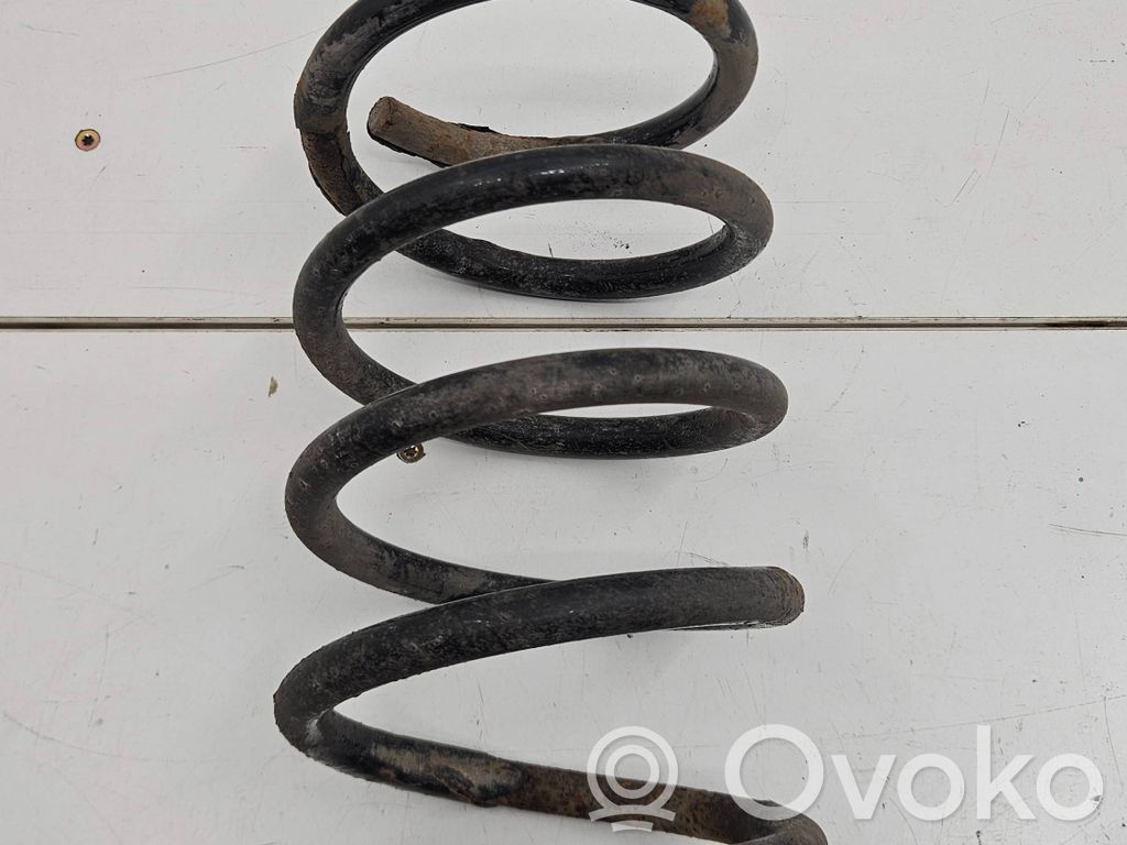 Rear coil spring