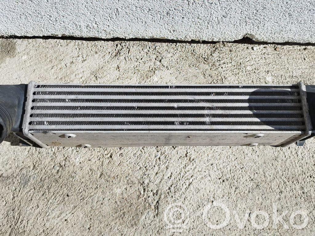 Ladeluftkühler   7800680
