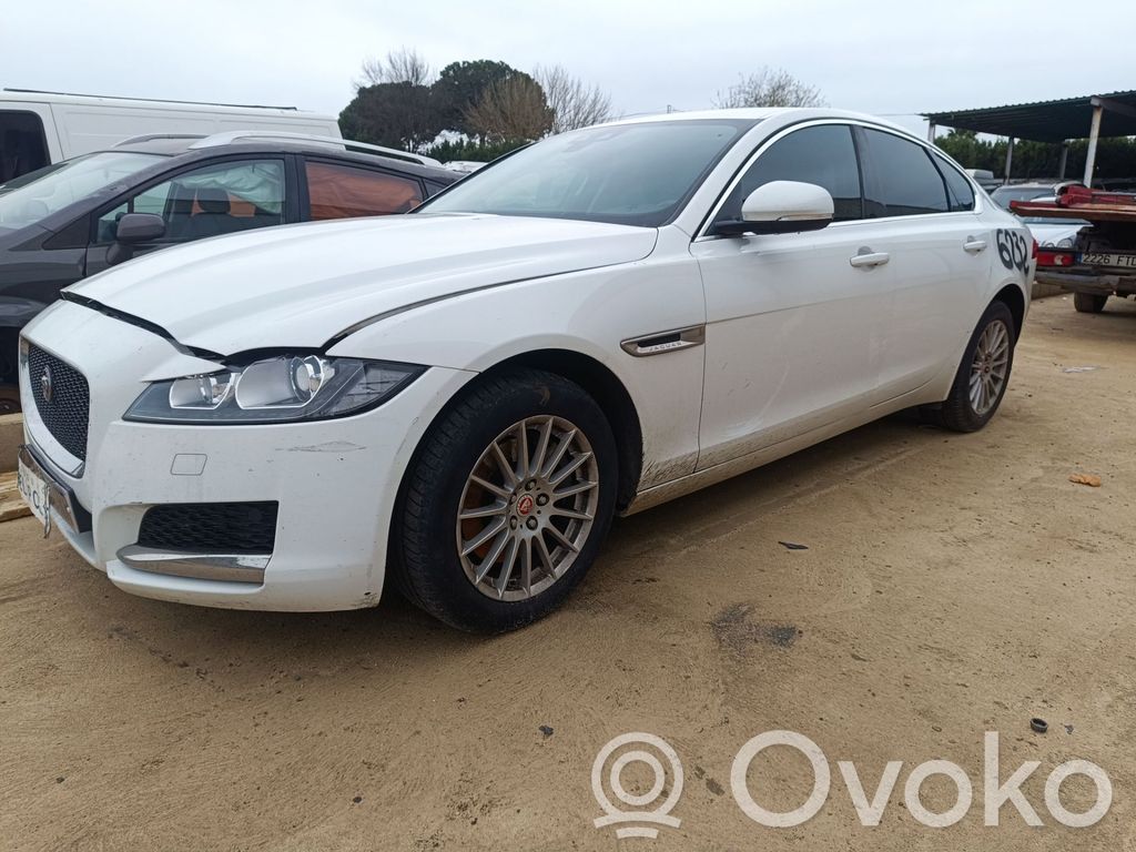 Jaguar XF X260 Takajarrulevy 