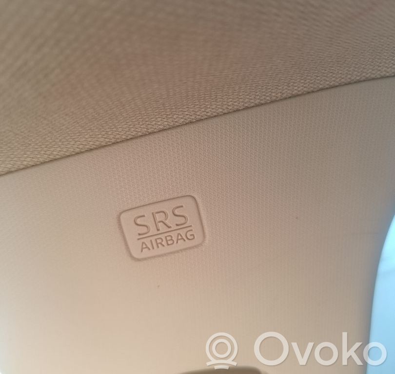 Airbag del techo   D10E57KM0E