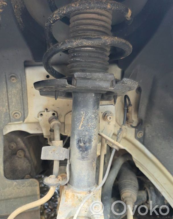 Stoßdämpfer vorne   2317532