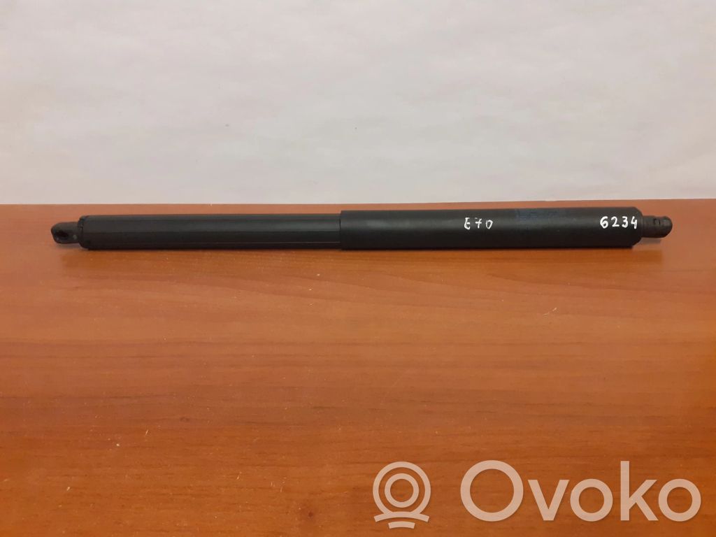 Tailgate/trunk strut/damper   7294199,483020,6234