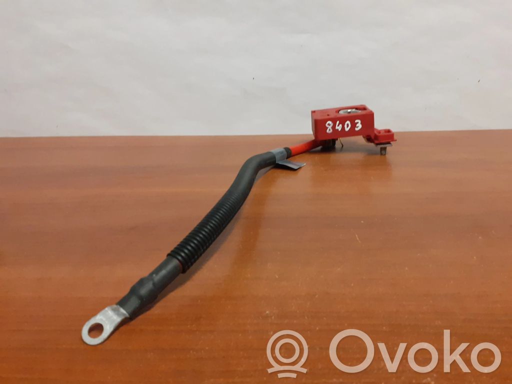 Câble de batterie positif   9115449,8403,10304410,9115438