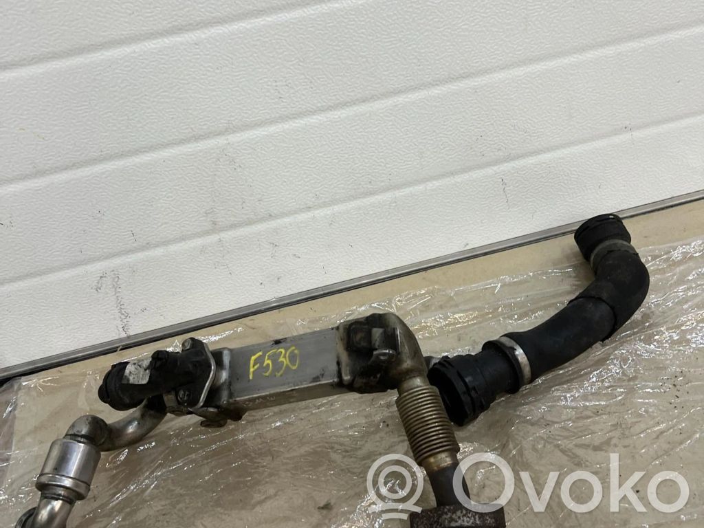 BMW 7 E65 E66 EGR aušintuvas 