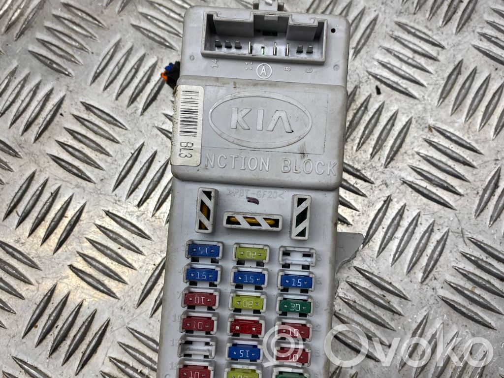 KIA Sorento Fuse module 
