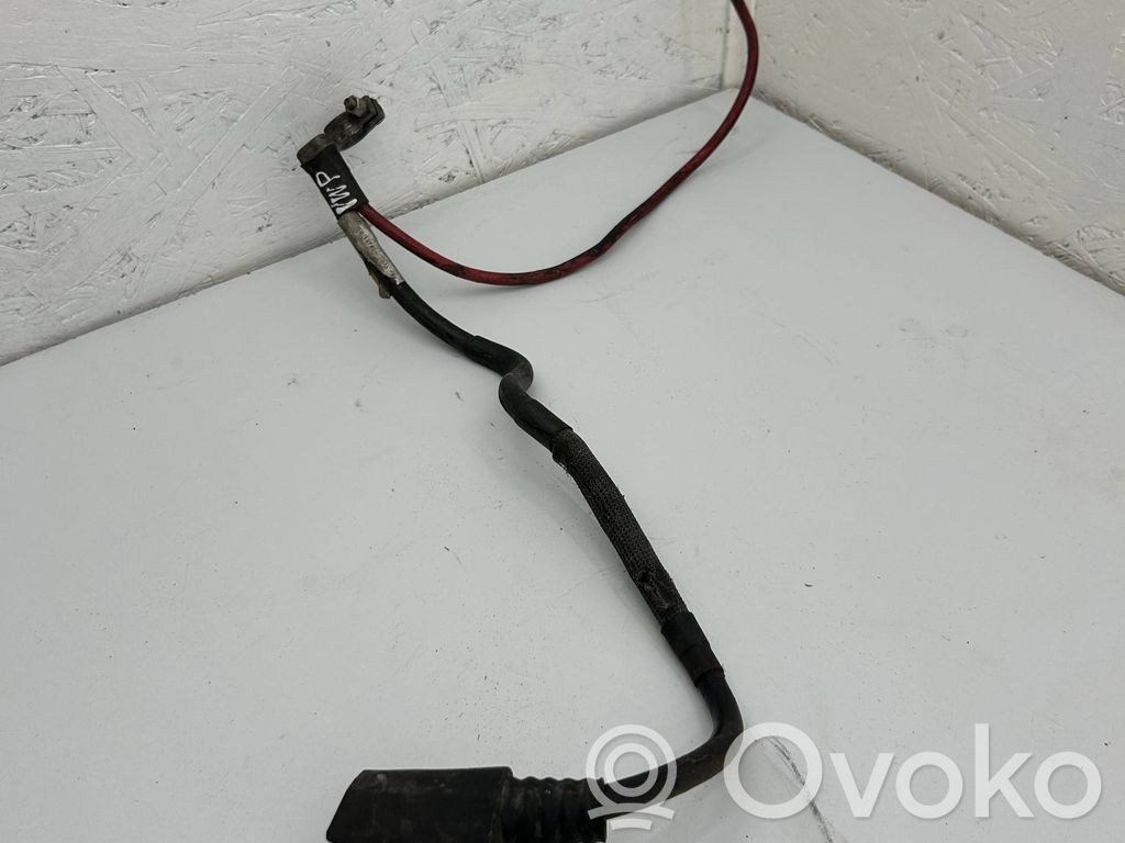Volkswagen PASSAT B6 Cable positivo (batería) 