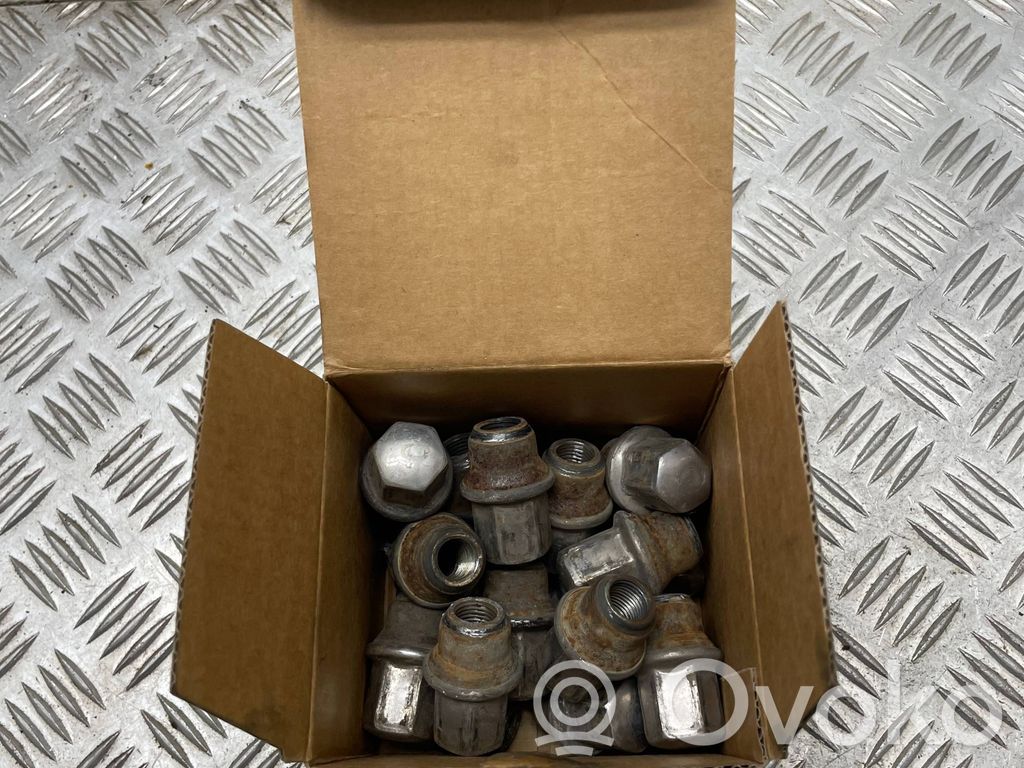 Nuts/bolts