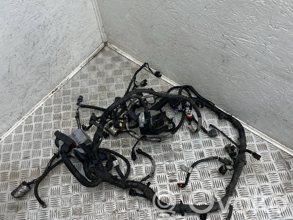 Chevrolet Captiva Cableado de instalación del motor 