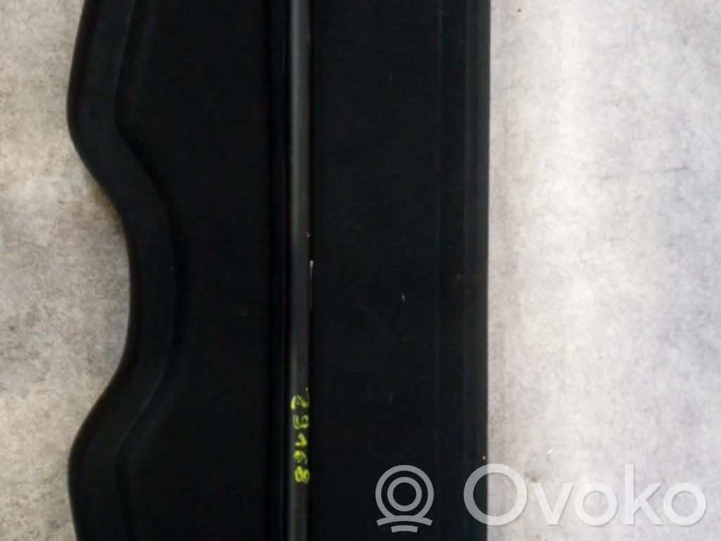 Renault Clio III Parcel shelf 