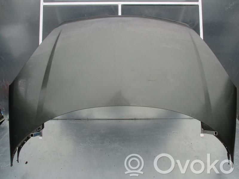 Konepelti   7901N4