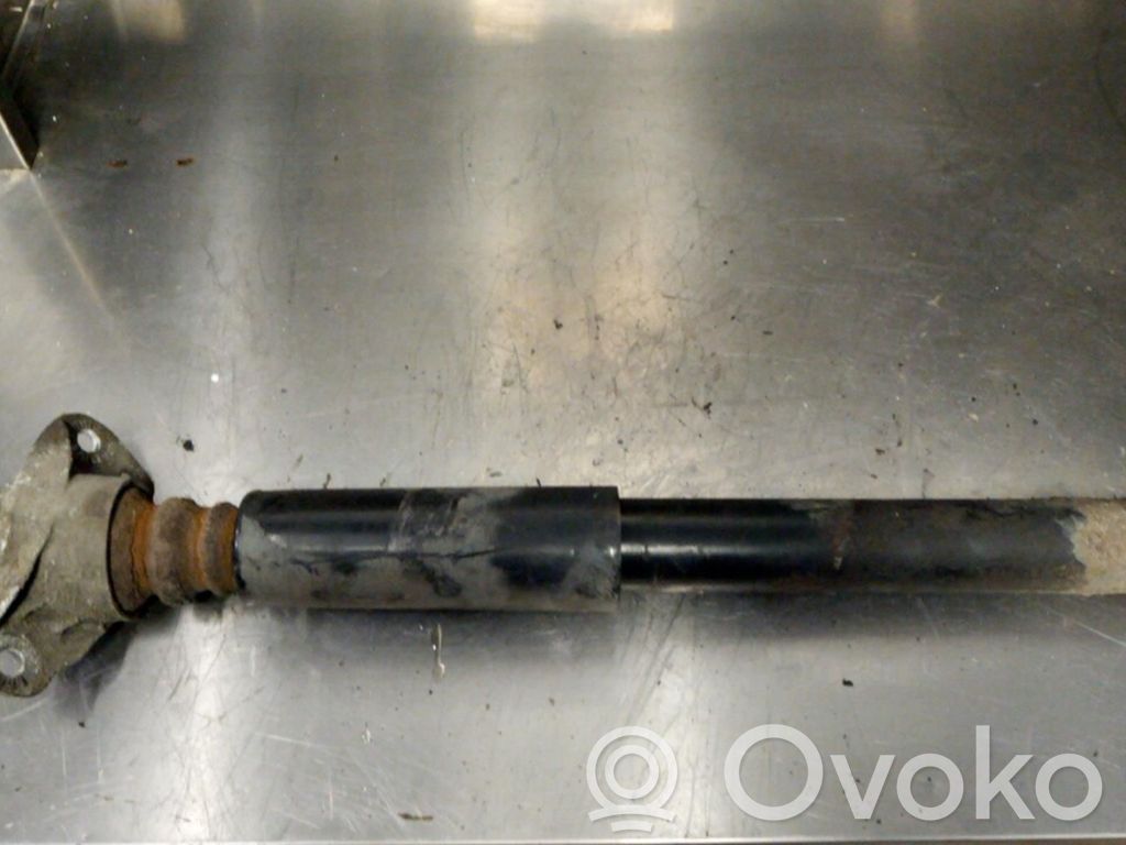 Stoßdämpfer hinten