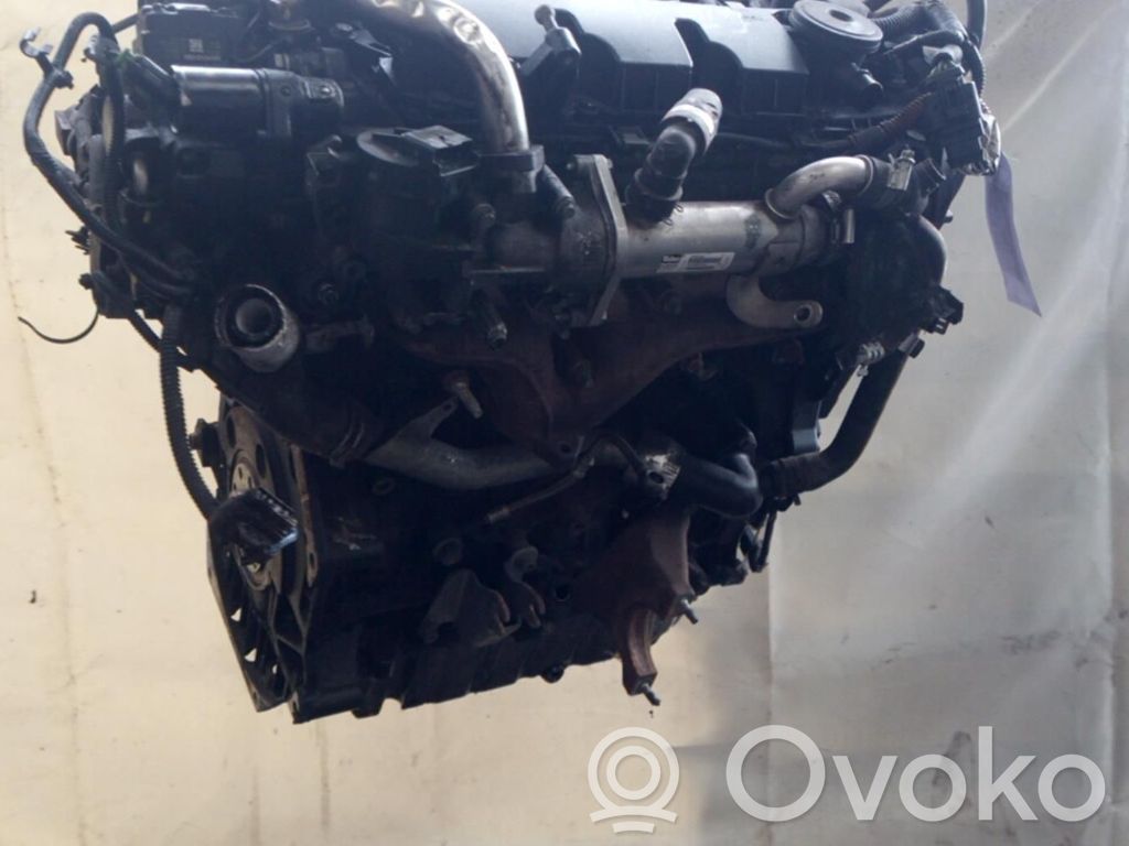 Motor