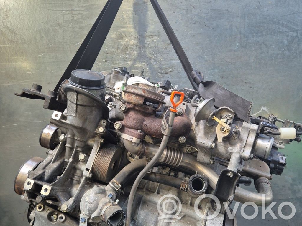 Motor