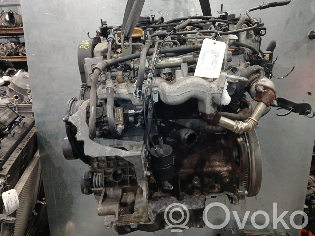 Motor