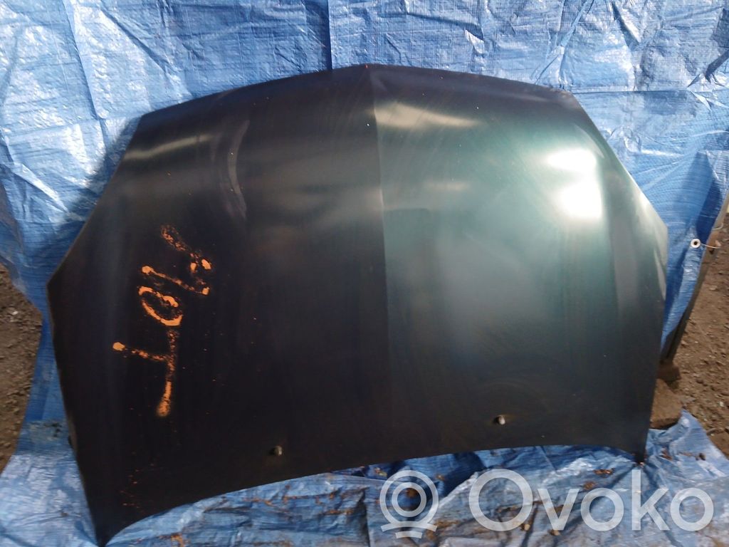 Motorhaube