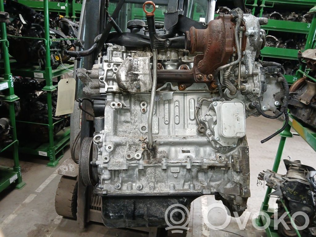 Motor   1622804880