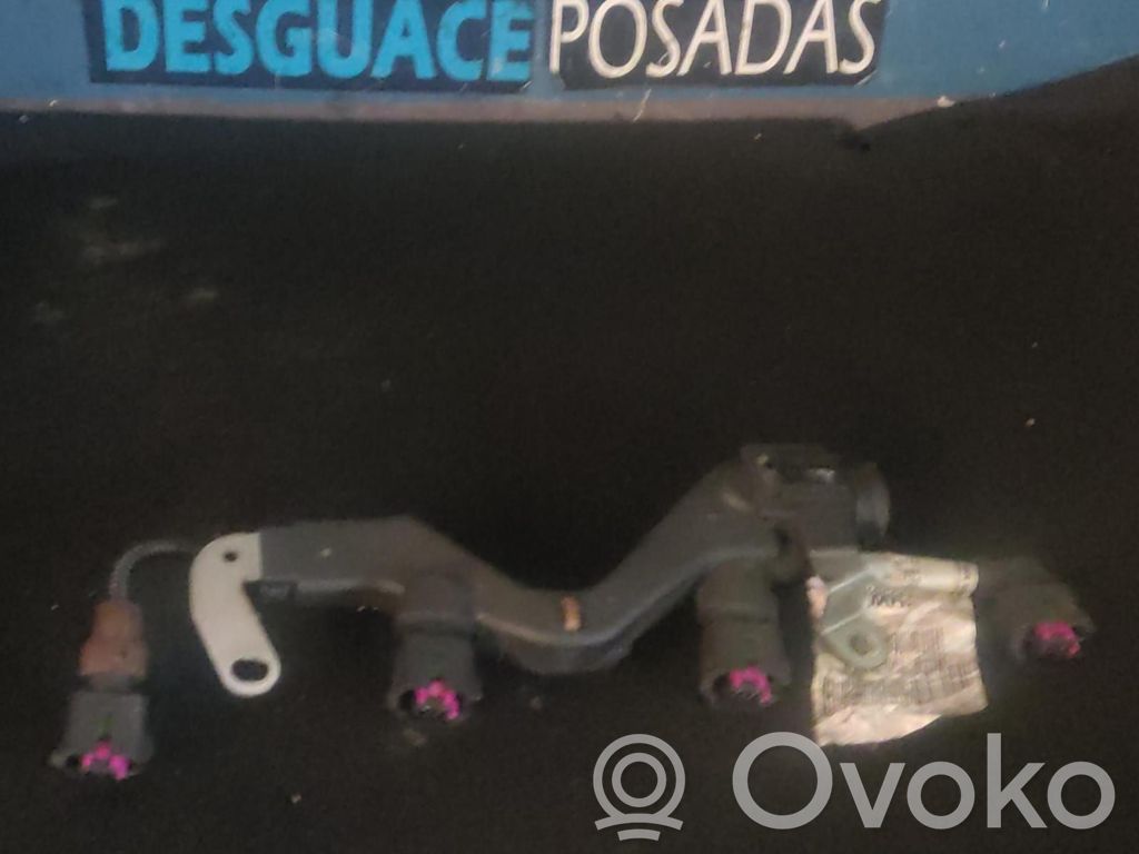 Motor   55567592,227813