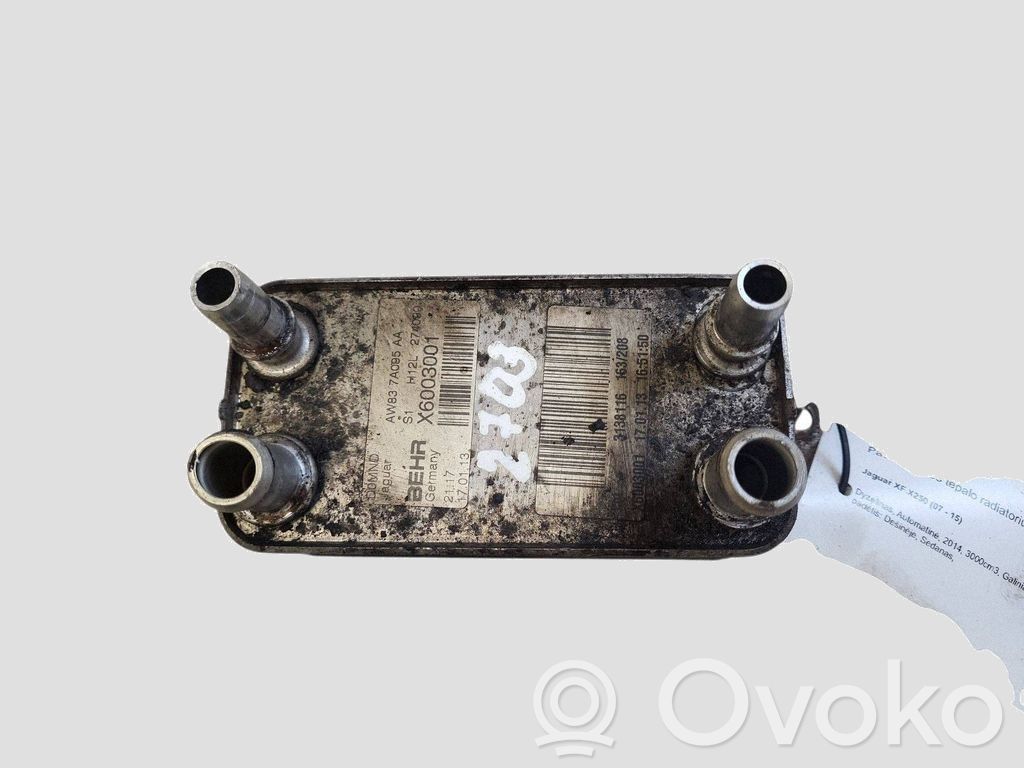 Jaguar XF X250 Radiatore dell’olio del cambio