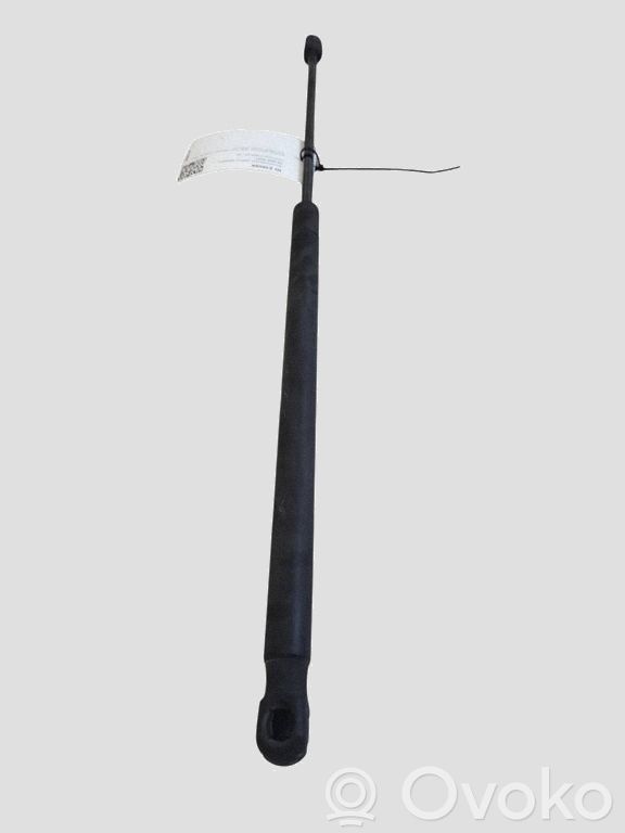 Vérin de capot arrière   3M51R406A10AB