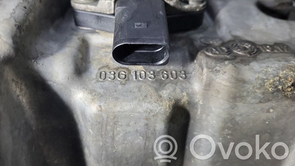 Volkswagen Caddy Coppa dell’olio 