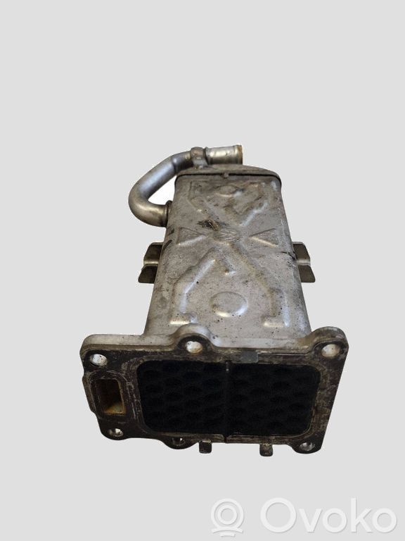 Volkswagen Golf VI Răcitor supapă EGR 
