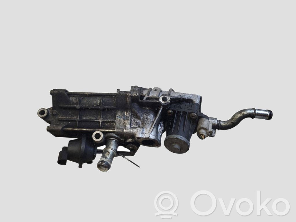 Jaguar XF X250 Valvola di raffreddamento EGR 